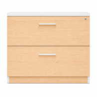 Archivero Ejecutivo Elite File 2 | Archivero Horizontal para Oficina con 2 Gavetas y Cerradura